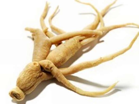 Ginseng