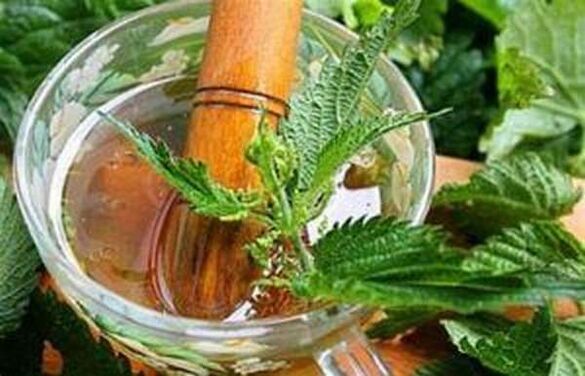Nettle has a beneficial effect on efficiency